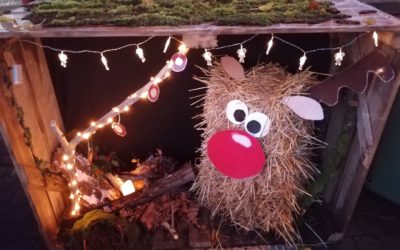 Participation au concours de décoration de Noël du village