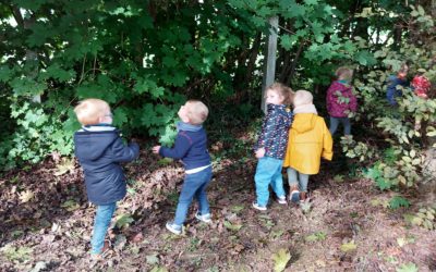 Activités en 1ère maternelle