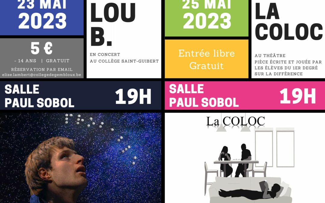 Semaine extraordinaire – Lou B. en concert au Collège !